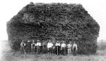 haystack_workers.gif (37034 bytes)