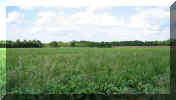 blackdyke_sky1.jpg (26378 bytes)