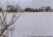 East Hall in distance 