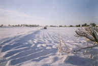 Across the fields behind Wilton Road